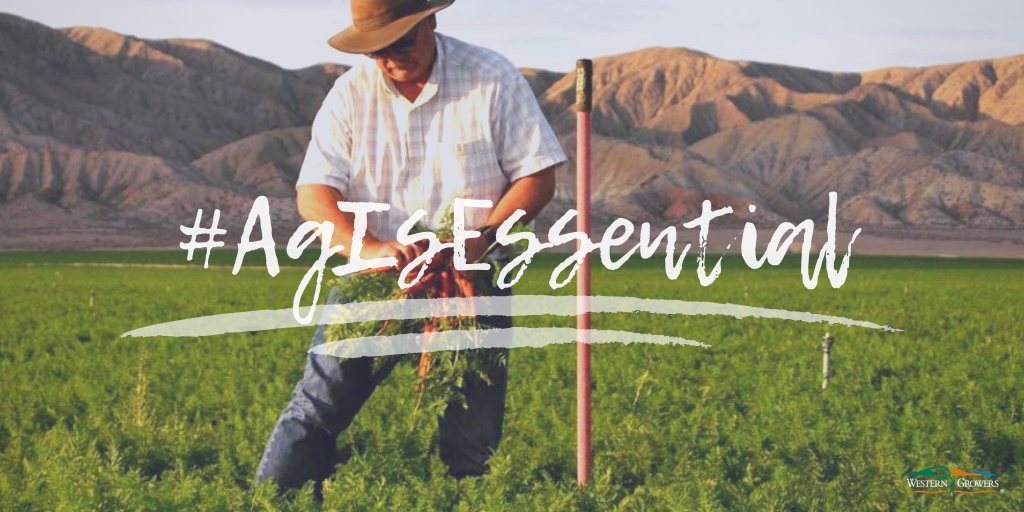 During this #COVID19 crisis, farmers &amp; farmworkers are still showing up to work every single day to provide safe &amp; nutritious food. Supporting #agriculture is more important than ever! #agisessential