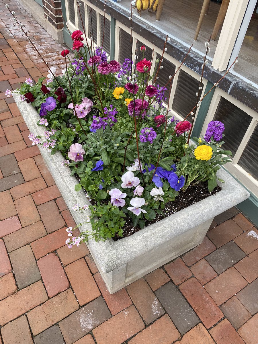 Spring has sprung in Lake Forest! A great day for a walk! Full of gratitude! <a href="/franksenreads67/">Traci Franksen</a> <a href="/LakeForestSD67/">Lake Forest School District 67</a> #chgratitude #findingjoy #cherokeeinspires #MayDay2020