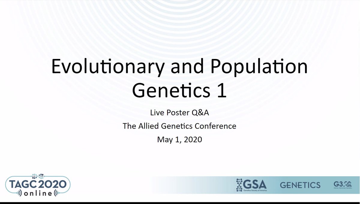 BalintZKacsoh's tweet photo. ready for the last poster session at #TAGC20. Make sure to log on and support our fellow @GeneticsGSA scientists! #dros20 #yeast20 #zfish20 #mammals20 #GSA #TAGC2020 https://t.co/otiwPih9vZ