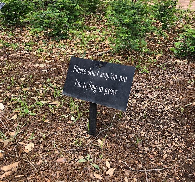 aDirectorofTech's tweet image. 