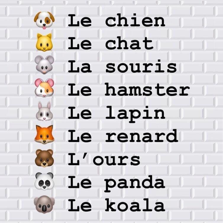تعليم اللغة الفرنسية On Twitter أسماء الحيوانات في اللغة الفرنسية الحيوانات Les Animaux لي زآ ني موو
