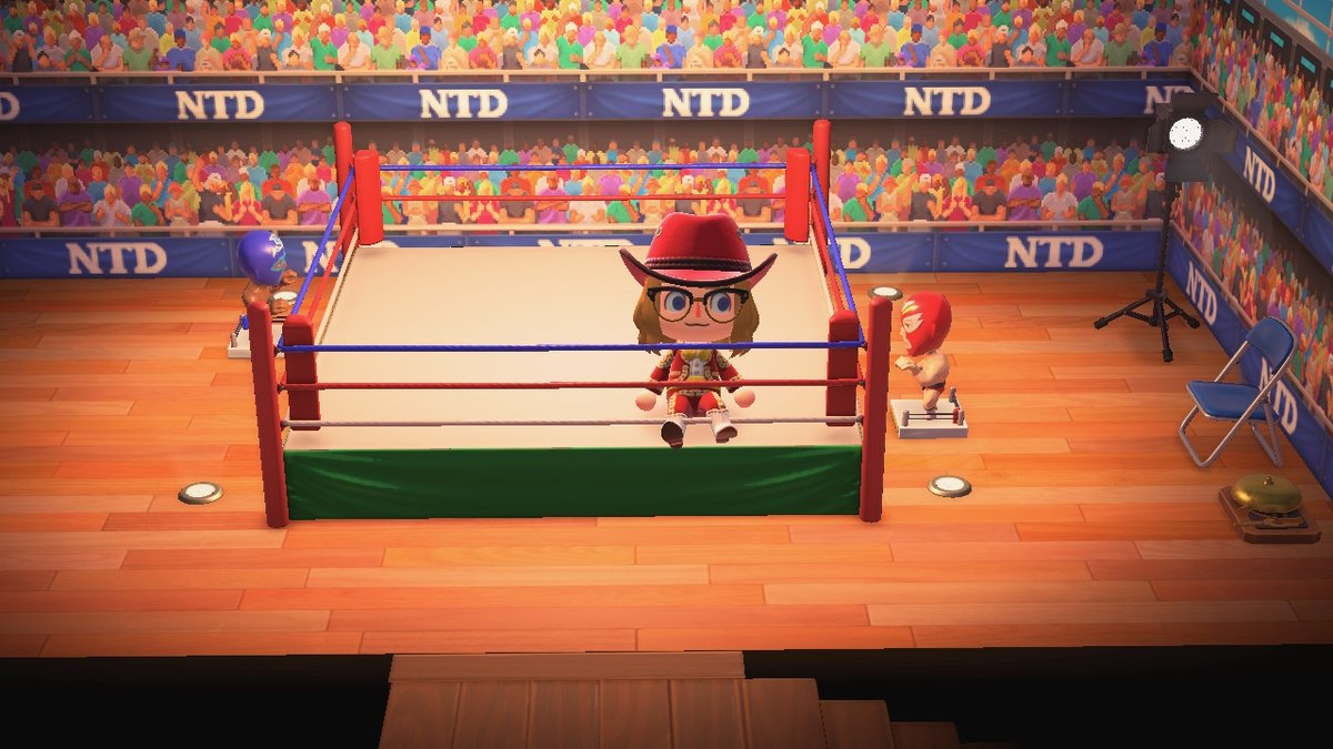 RobProjectPlay's tweet photo. Who needs WWE 2k21 anyway!? #AnimalCrossing #ACNH https://t.co/00PvolON3D