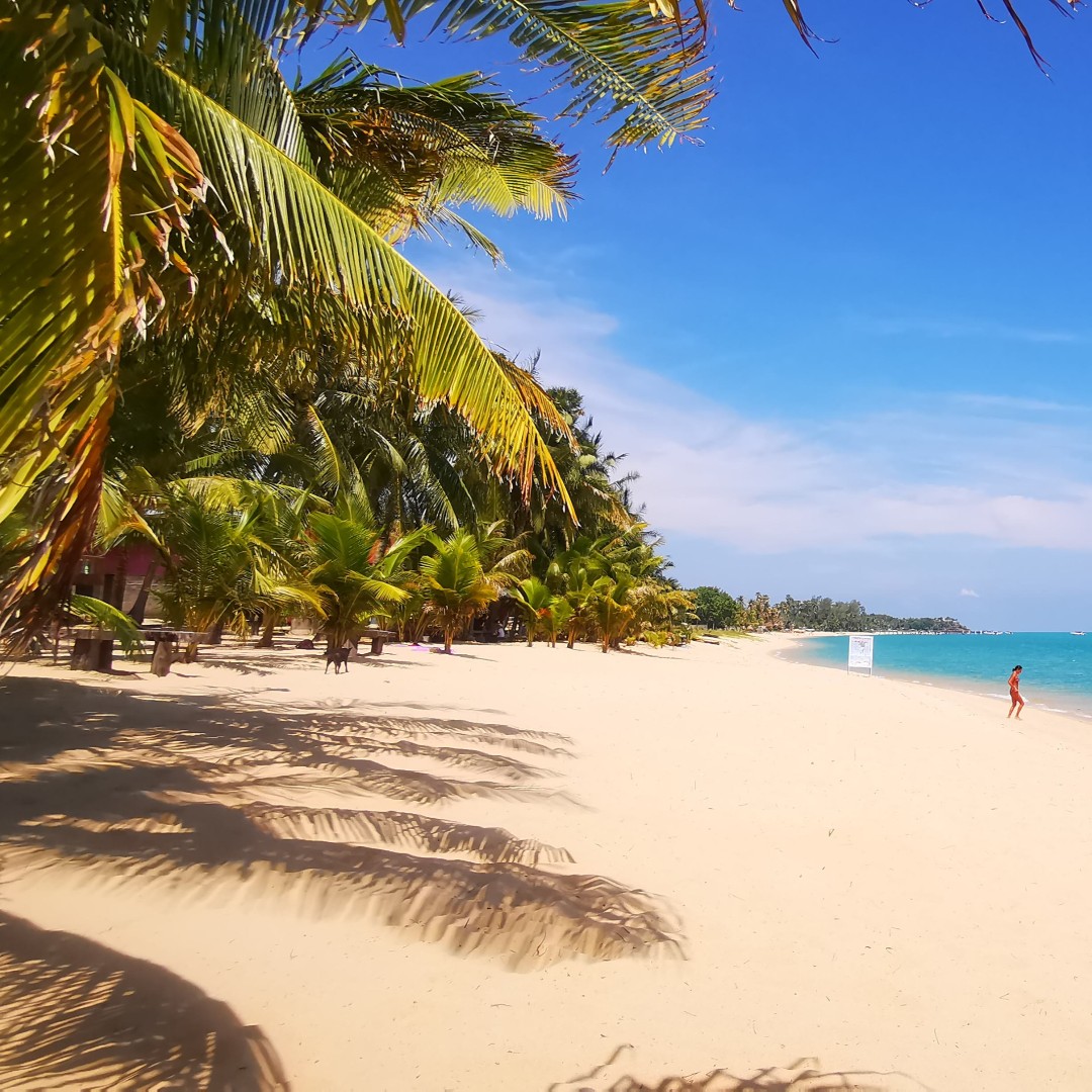 holidaysamui's tweet photo. We #StayHome, but we are thinking of one of the most beautiful places in #Samui? Who has stayed in Maenam?
#Maenam #Beach #Cornavirus #COVID19 #villa #luxuryvilla #luxuryvillarental #travel #beautifuldestinations #holiday #vacation #Luxurylifestyle #thailandvilla #Samui #KohSamui https://t.co/OR2XwsRAqb