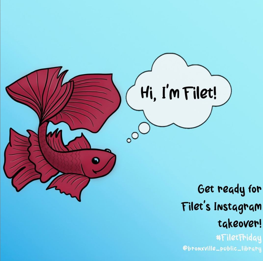 BXVLibrary's tweet photo. Hi everyone! My name is Filet. You've probably seen me at the children's desk in the library. I'm going to be logging on Instagram* every Friday to share book recommendations, homework tips, memes, and more! #FiletFriday
*but don't worry, I won't forget my Twitter peeps https://t.co/7u9bxA5dlw