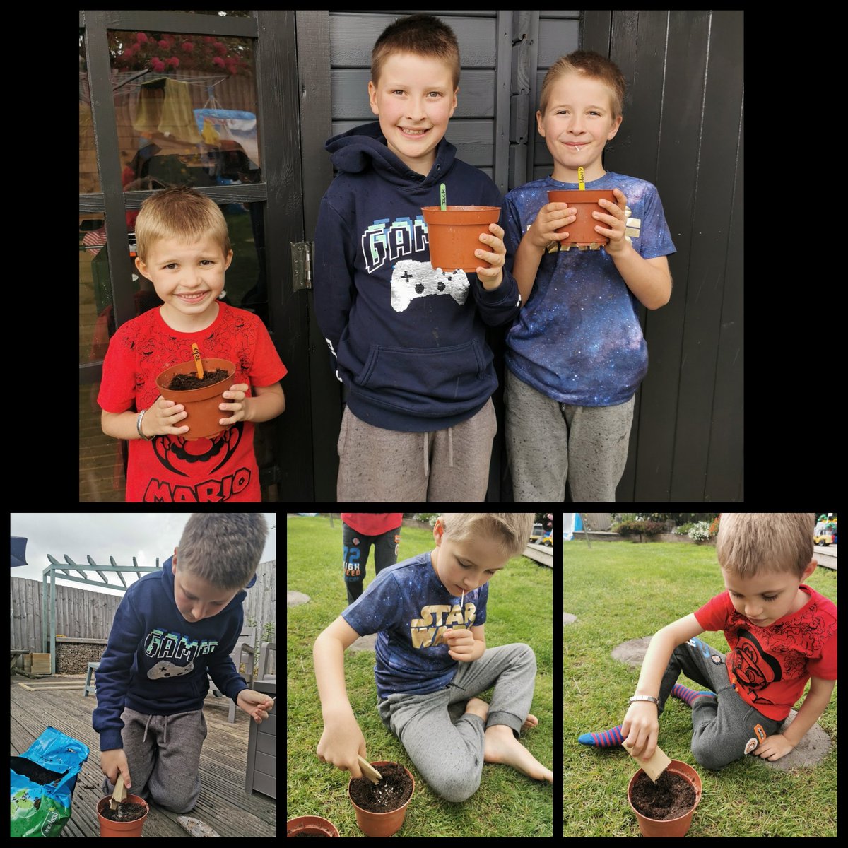 Julieparkin85's tweet photo. @YsgolLlandybie Thank you very much for the letter and seeds, what a lovely and thoughtful thing to do ❤️  I am late posting as we have only just had pots to plant them 😊 https://t.co/UKVAAyqfnj