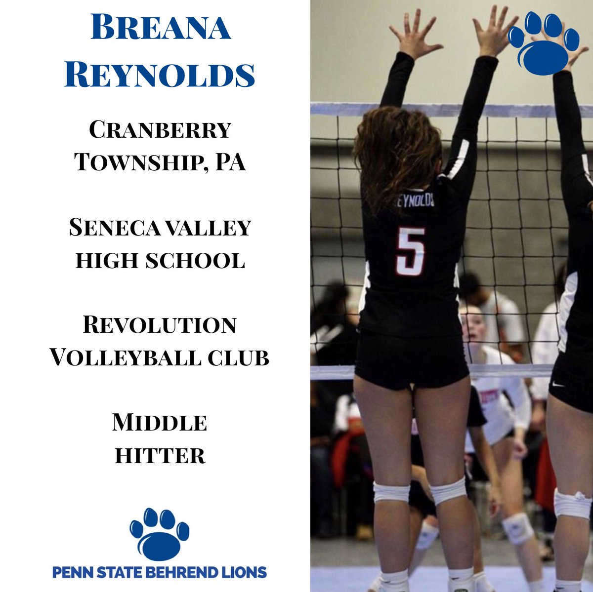 BehrendVB's tweet image. Today we introduce our women’s volleyball recruiting class of 2020! Breana, Hannah, Maria, and Meg are part of our incoming freshman class for the Fall of 2020! We can’t wait to have you here and get to work.  #FutureBehrendLions