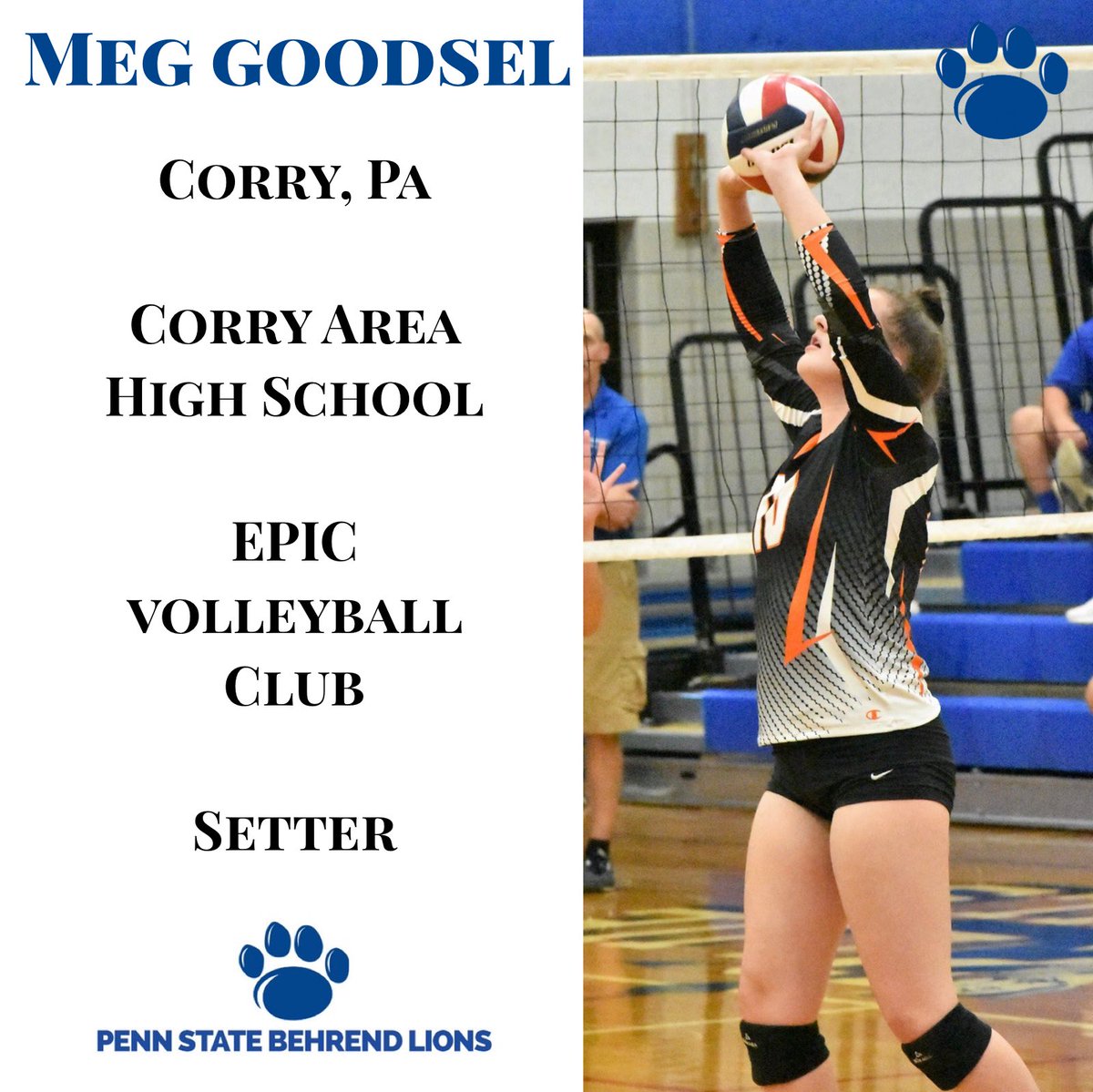 BehrendVB's tweet image. Today we introduce our women’s volleyball recruiting class of 2020! Breana, Hannah, Maria, and Meg are part of our incoming freshman class for the Fall of 2020! We can’t wait to have you here and get to work.  #FutureBehrendLions