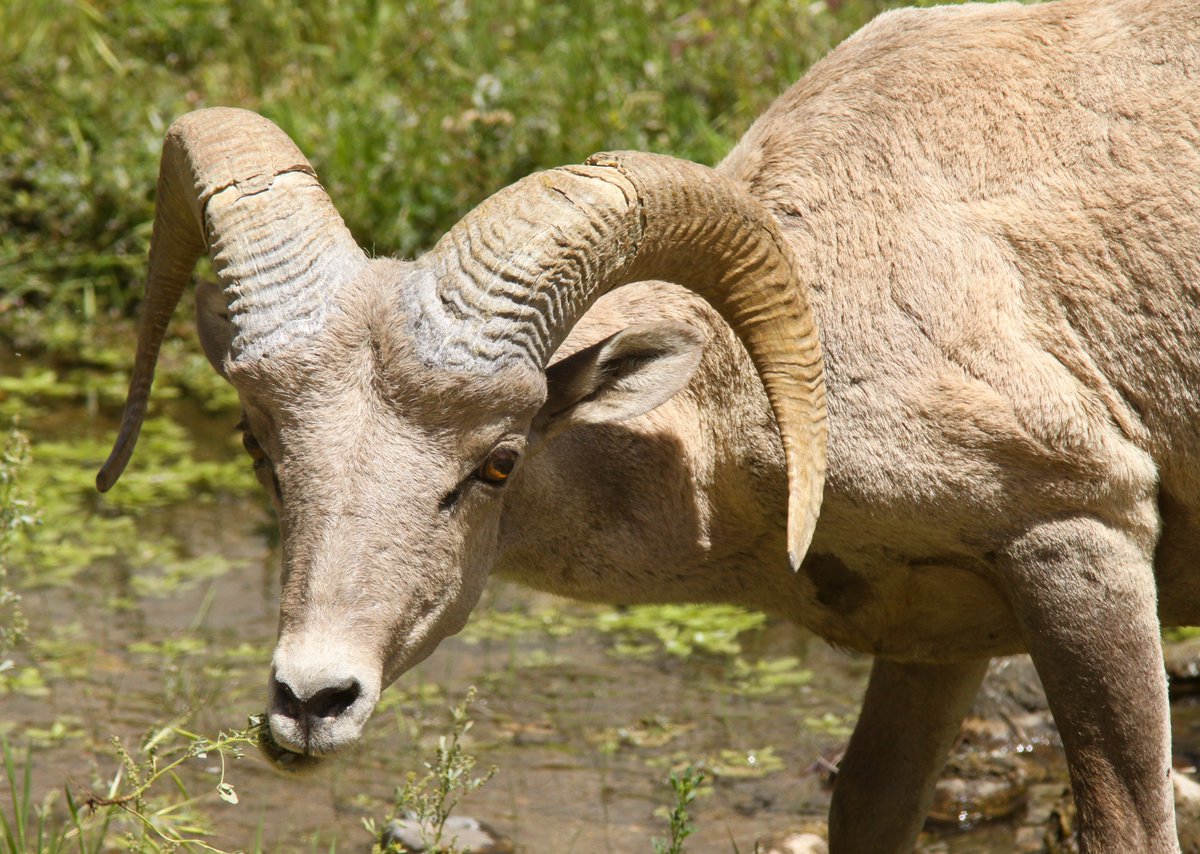 David Lamfrom tweet media