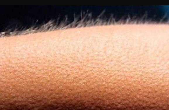 #TheHalfOfIt is just one of the best wlw movies i've ever seen. the conversations about love, race, immigration, religion, it was just... and i know some people are going to say shit because to some of you representation only matters when there's a couple but the movie is amazing