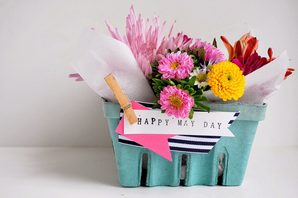 Dock_86's tweet photo. Enjoy May 1, 2020!  Celebrate the return of Spring!  Happy May Day! 

#Spring #Springreturns #Springhassprung #Flowers #Sunshine #Bright #Colorful #Celebrate #Inbloom #DOCK86 https://t.co/wSgLIIOvAn