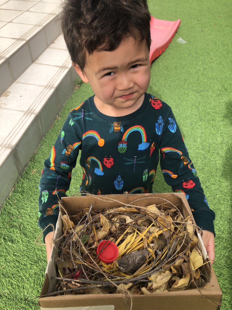 babeskeetz's tweet photo. When a little bird falls from our roof... a nest to make him feel safe... and putting him back in a familiar place until mummy finds her #savingtweety @DBFFS2Orange https://t.co/CjFmhzNAFy
