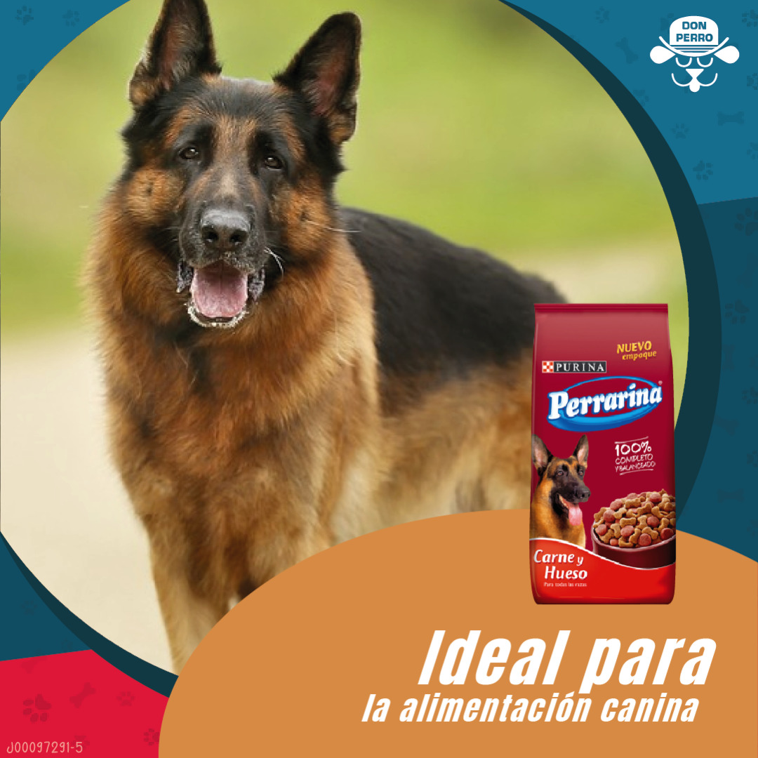 Consigue los productos Perrarina® en 
<a href="/tiendasdonperro/">Don Perro</a>
