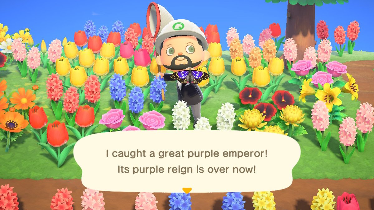 JaredLPetry's tweet image. #AnimalCrossing #ACNH #NintendoSwitch