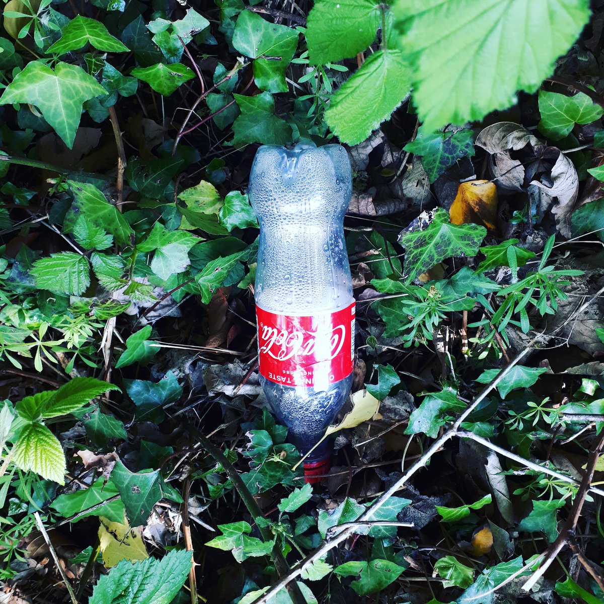 Hey @cocacola your drinks bottles keep finding their way into bushes and our local beauty spots. When are you going to start pumping out less plastic pollution? #ReturnToOffender
#PlasticFreeCommunities #PlasticFreeCommunities #SeeIt #SnapIt #ShareIt