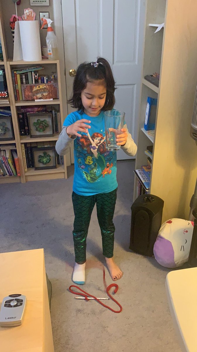 MissMcEleneyK's tweet photo. Kindergarten scientist @WoodcrestES loved testing gravity during these hands-on learning opportunities. #WEareCHPS #distancelearning @CherryHillSTEM #STEMatHome #Kindergarten https://t.co/WRoYuGbu1j