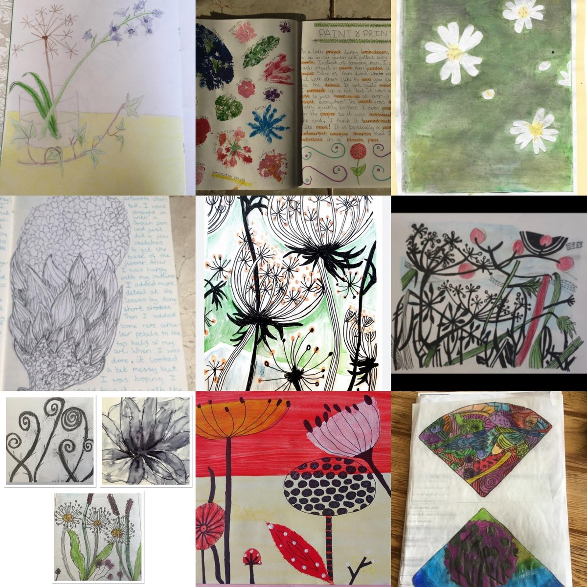 A fantastic selection of work from Year 7 based on natural forms.