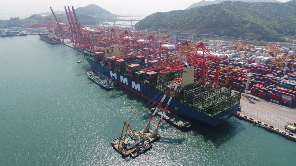 HMM America tweet media