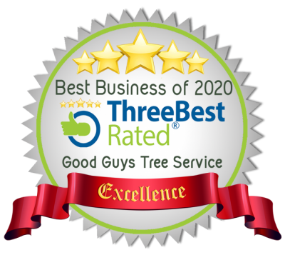 prunderground's tweet photo. Good Guys Tree Service from #Austin wins 2020 ThreeBestRated® award for #BestTreeService https://t.co/Z2ZCY0WE0Y @threebestrated #GoodGuysTreeService https://t.co/0qyNaR920C