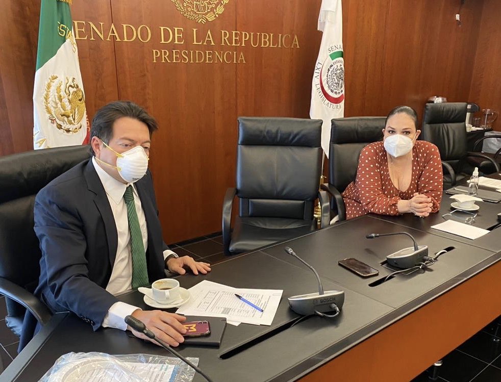 mario_delgado's tweet photo. En reunión con la presidenta del @senadomexicano @monicaferbal realizamos una consulta telefónica con @HLGatell y su recomendación primaria es NO realizar sesiones extraordinarias en las siguientes dos semanas, dado que será el pico de la epidemia. Atenderemos su recomendación. https://t.co/wxN5nIosSC