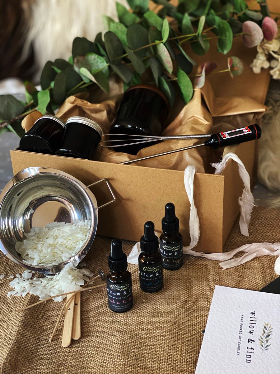 Willow & Finn tweet media