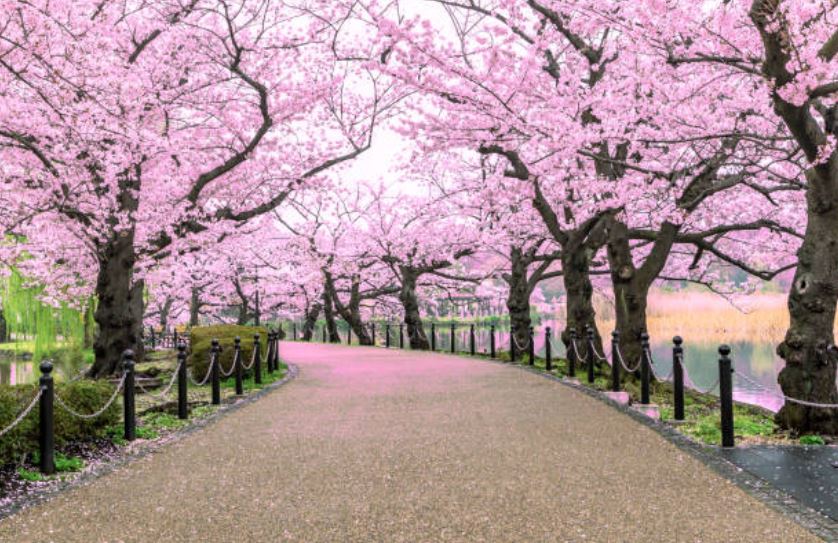 DevResInc's tweet photo. Take today and celebrate virtually with family and friends! May Day in many different cultures around the world is a day of unity, togetherness, and rebirth; a day for everyone to come together and celebrate life as we know it. https://t.co/Ta6Nfw3EKw