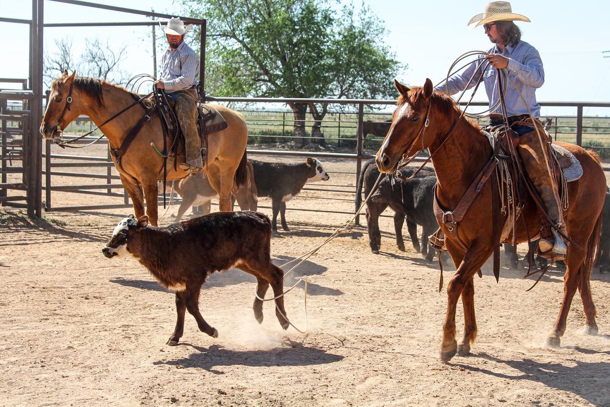 Dos Patas 

#springbranding #newmexicocowboys #texascowboys #brandingseason #socialdistancing #twofeet