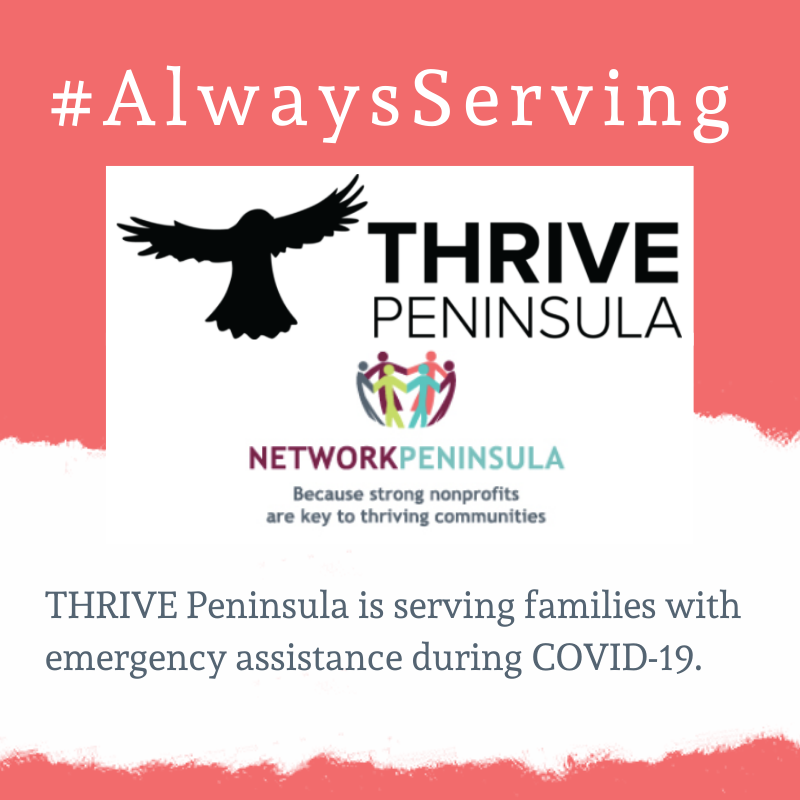 NetworkPeninsula tweet media