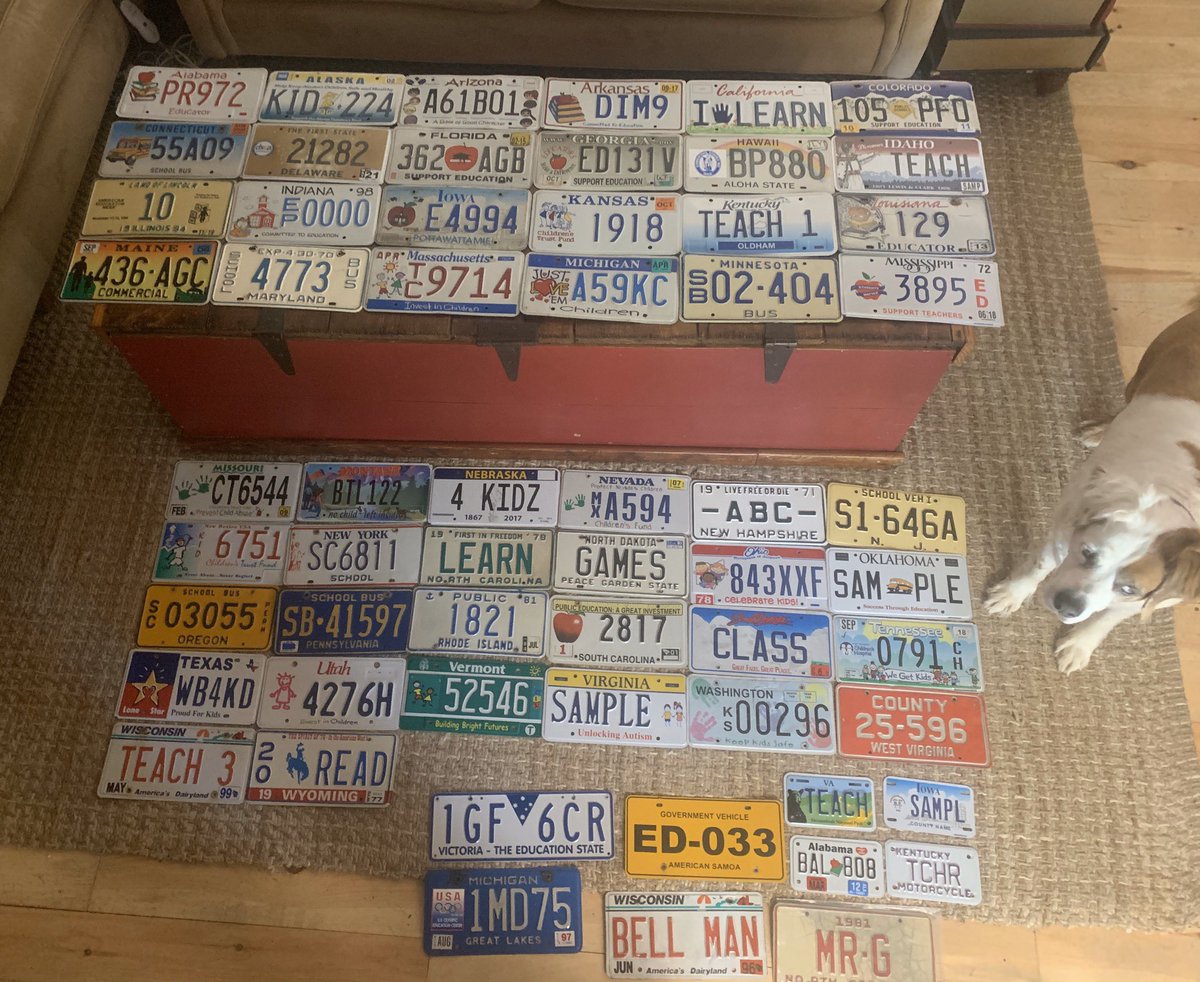 50 state education/kid/school run complete after 7 years. Bittersweet to finish it at home and not school #licenseplates #teach #teaching #teacher #classroomdecor #plates #dogphotobomb #dog #TeachFromHome #teachingduringcoronavirus