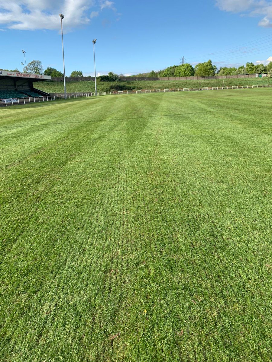 AFCBorrowashVic's tweet photo. What a sight! Re-seeding now complete, grass growing nicely! Sprinkler system finished this weekend, pitch starting to take shape now! #upthevics #borrowashvictoria https://t.co/4SYMyt0e5T