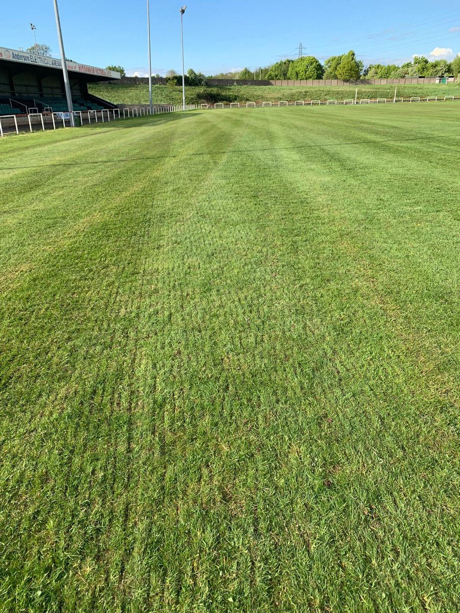 AFCBorrowashVic's tweet photo. What a sight! Re-seeding now complete, grass growing nicely! Sprinkler system finished this weekend, pitch starting to take shape now! #upthevics #borrowashvictoria https://t.co/4SYMyt0e5T