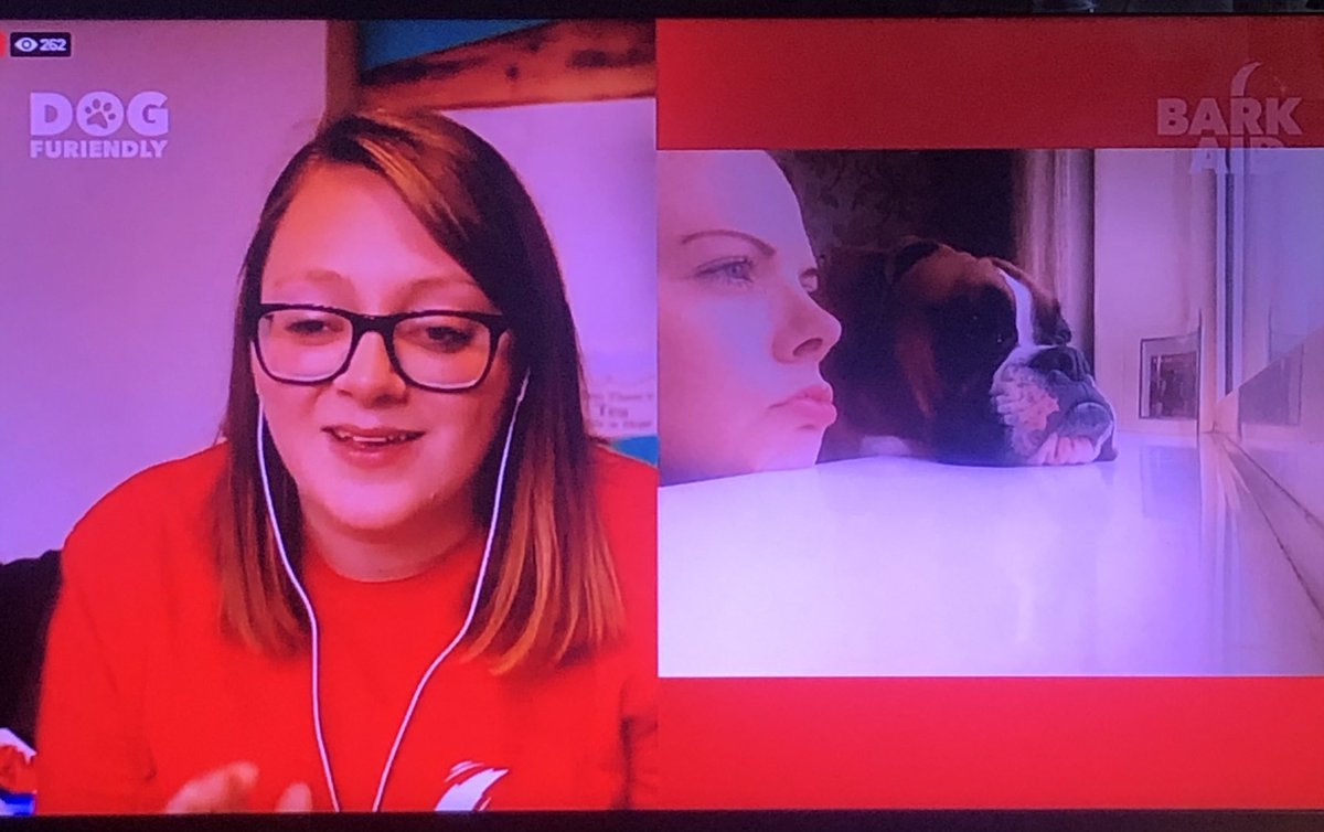 daisy_magill's tweet image. Watching #BarkAid LIVE! Thank you @AdelePember at @DogFuriendly for supporting @CityHospice! Amazing amount raised! #DogMostLikeTheirOwner #Community #AllInThisTogether 💚