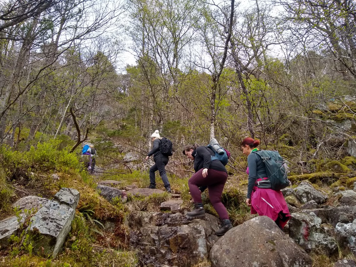 CoryFerral's tweet photo. Hoy realicé mi 6to hike!! Fue increíble llegar a la cima de la montaña!!!! Entre más conozco este país me enamoro cada día más!!! 🇳🇴🏞🧗♂️✌❤🙋♀️ #hikegroup https://t.co/UQutR0gH2g