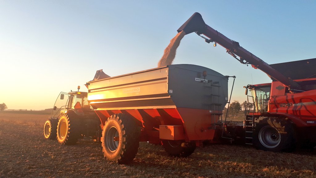 Javier Figares tweet media