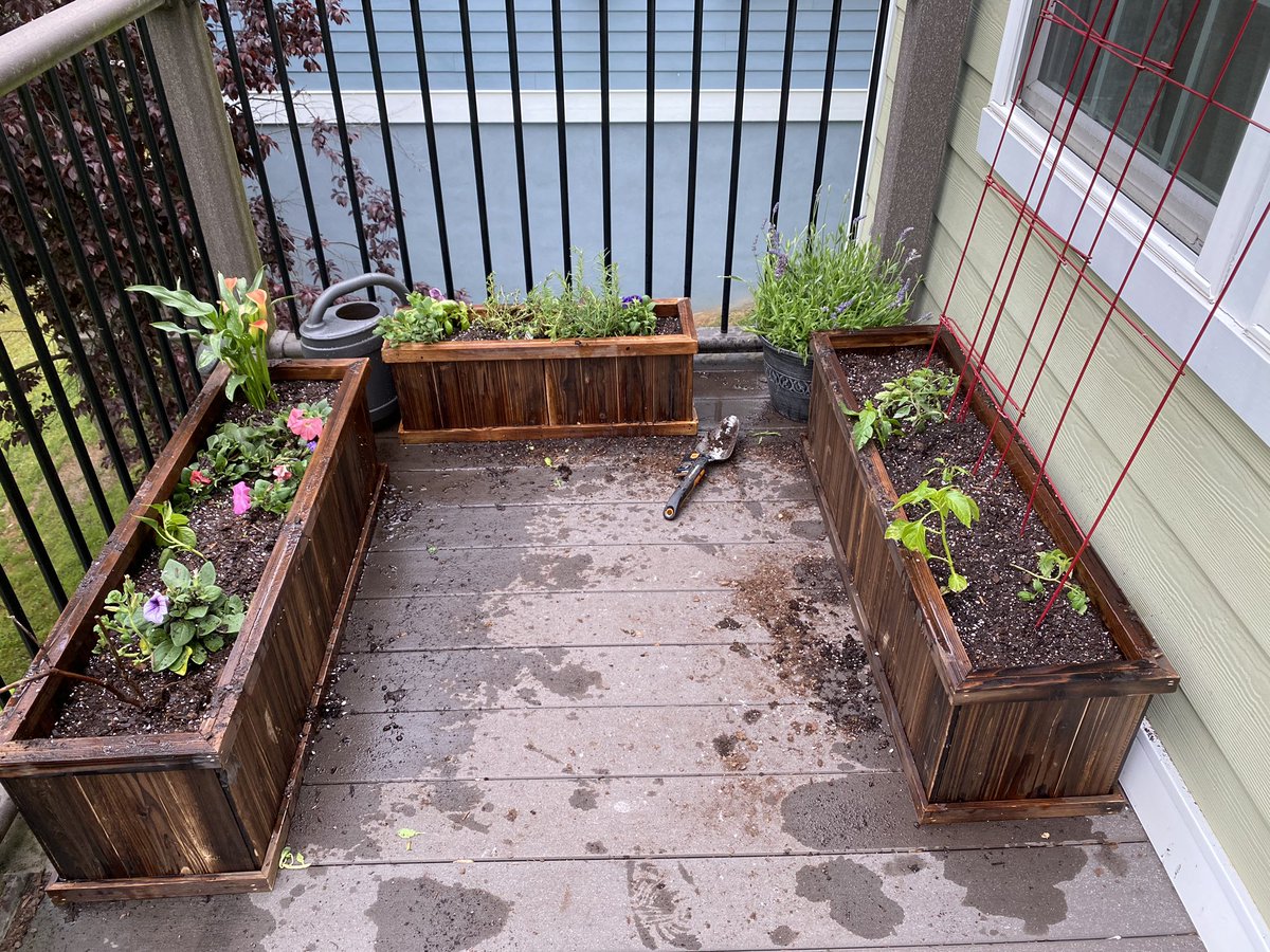 i wanted to grow things to occupy my time and because i’m cooking a lot but my backyard is steep so i reached out to my sister  @schanmalik to ask if it were possible to have a garden and flowers in this kind of space. she suggested a container garden.