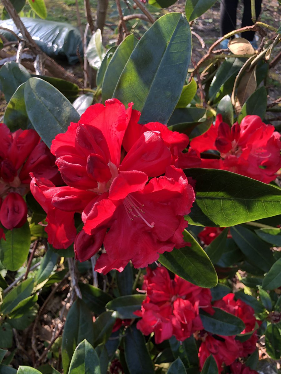 Steve Power tweet media