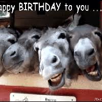  Yes Happy Birthday          