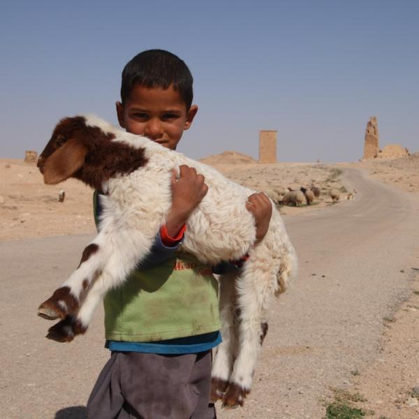 Good Shepherd, indeed! my-open-heart.org/2020/05/01/goo…