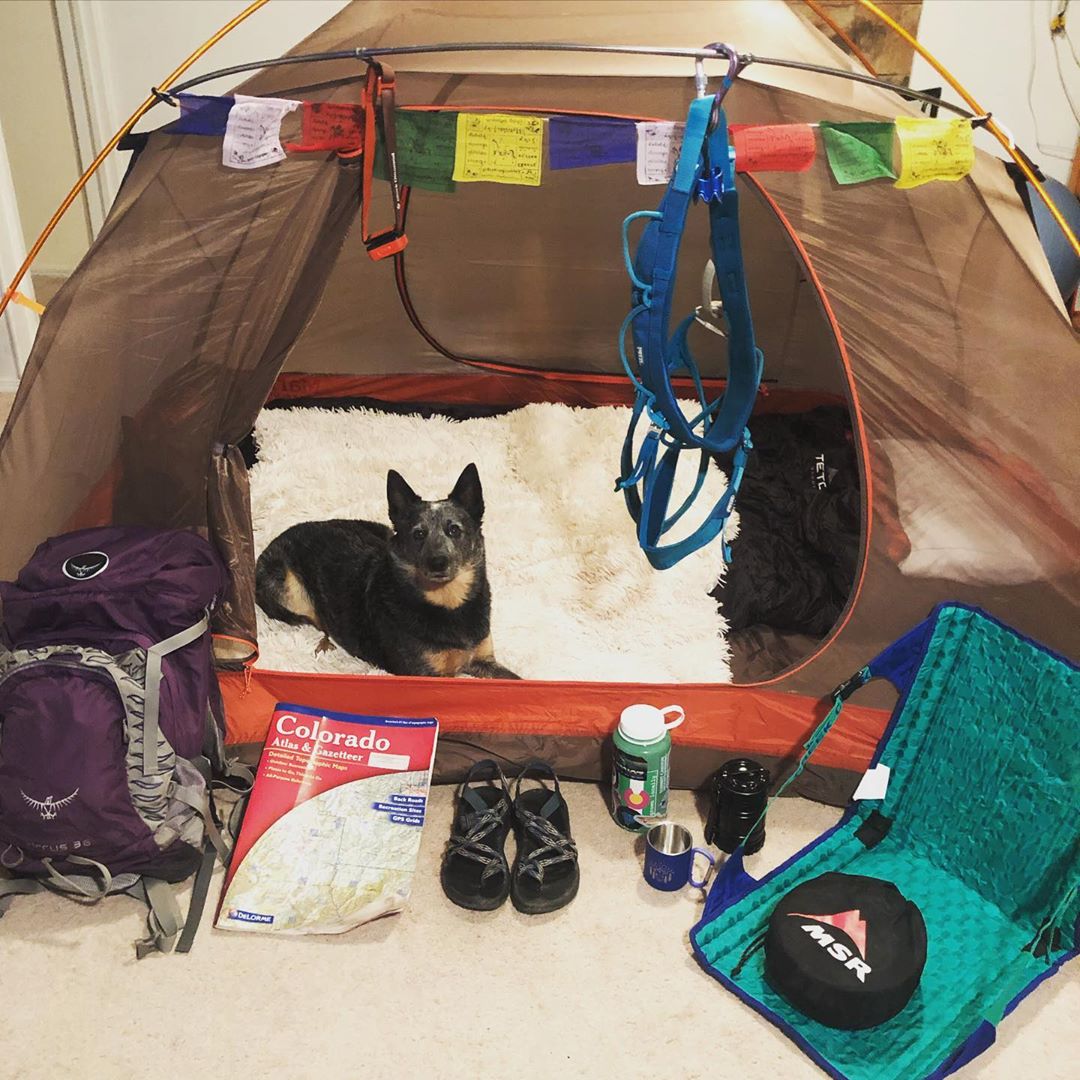 nalgene's tweet photo. The great indoors can still be a great adventure 😍 #DreamOutside #StayInside

(PC: IG user tristan_b715) https://t.co/a5dCLgOz6w