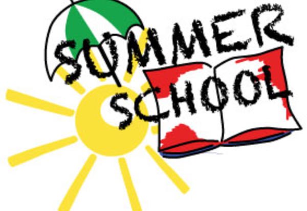ATTENTION STUDENTS PLANNING TO TAKE SUMMER SCHOOL!!!! Please check your VUSD email for important information regarding the structure and requirements.