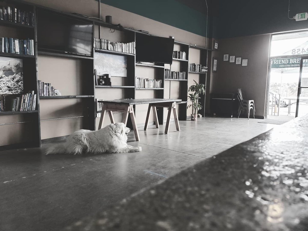 Please help us in welcoming another new member to our pack. 🐕 💕 Last week John and Karen brought home this big hunk of joy, Rocky! He already fits right in with his sister Luna and you can come meet him for yourself; he will be greeting visitors at the brewery all day.