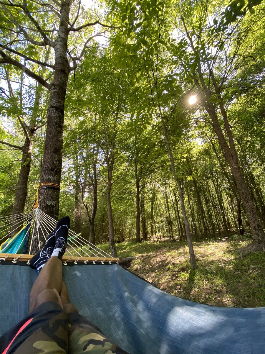 the_thurmanator's tweet photo. Virtual happy hour checklist... tripod, pint glass, hammock, @zoom_us
@BeerCrosstown @BealeStBrewing
#CraftMemphis #spacebird #centennial #FridayVibes #YeahMane https://t.co/wvssxaUjJY