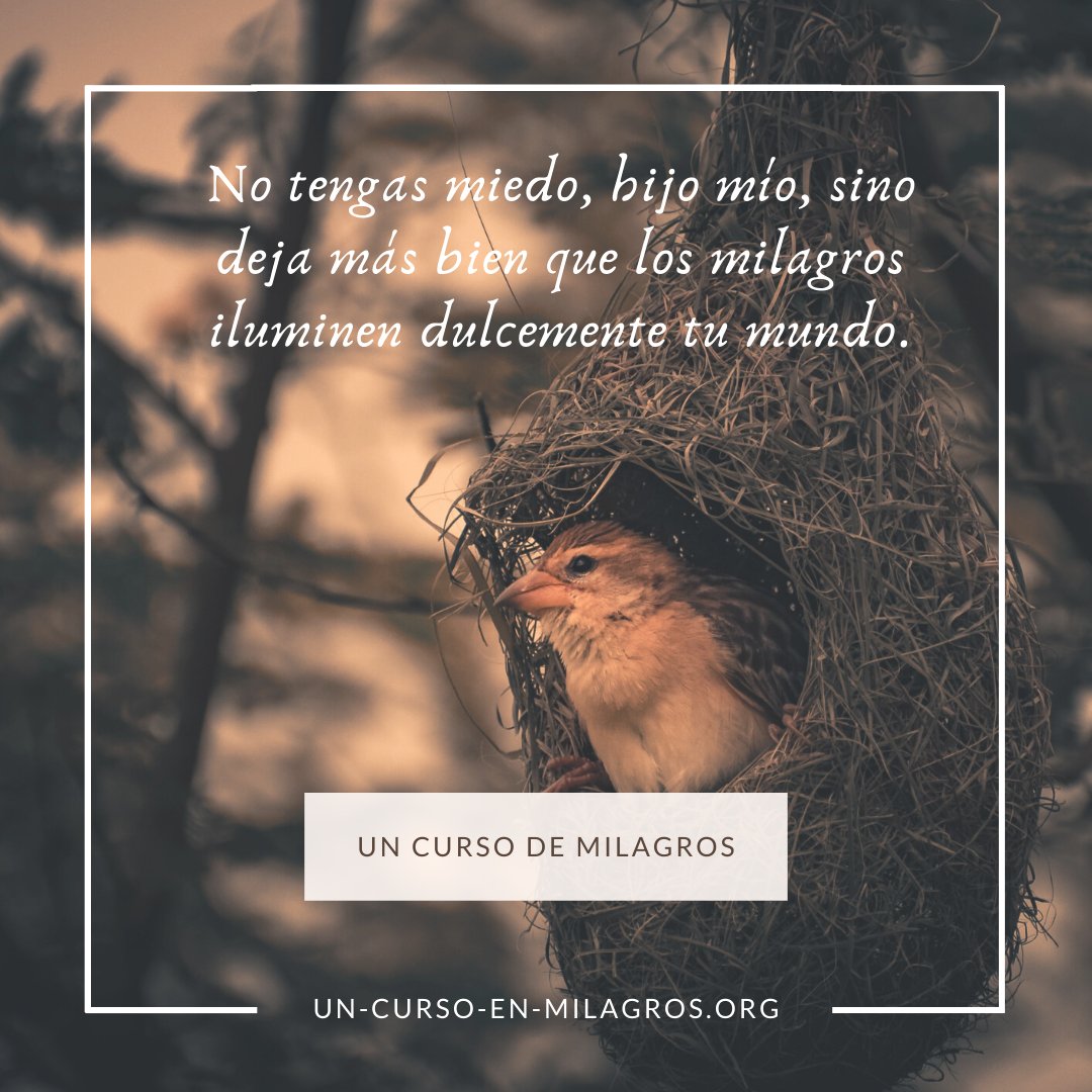 YogaJoyce (@Yogajoycelife) / Twitter YogaJoyce (@Yogajoycelife) / Twitter
