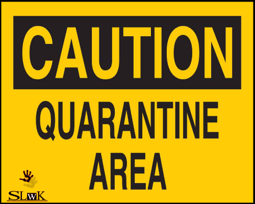 SurviveLifewKid's tweet photo. Poll: Has Your Kid Started Talking To Themselves Since The Quarantine? https://t.co/c9LN53lB48 https://t.co/OQEHupONNj