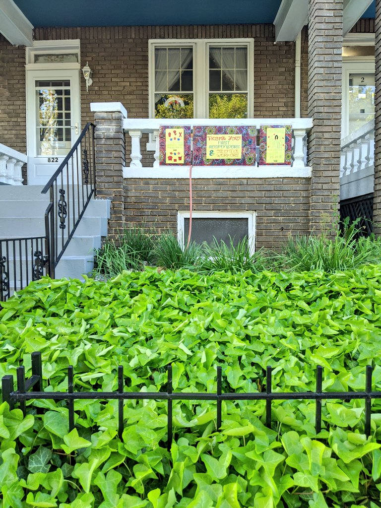 Love this lush yard. (The thank you sign is pretty awesome too )