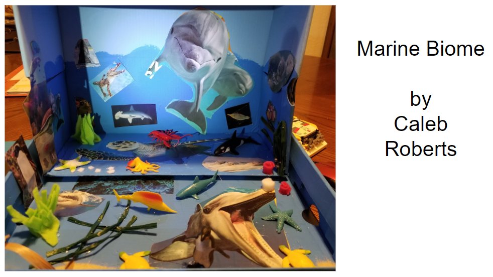 mfarrer6's tweet photo. Distance learning at CCCS!  6th grade student created this Biome Box and shared virtually!
#ButteCOE https://t.co/djbMQnBYOy