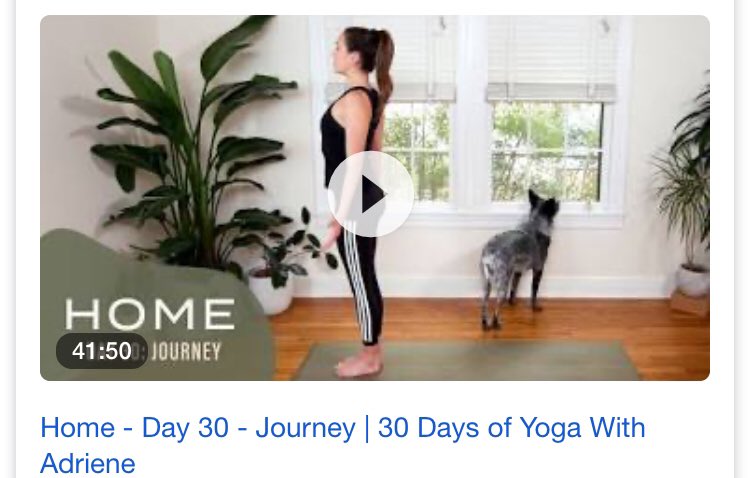 MrsYzar's tweet photo. Nutrition & Wellness Students completed HOME-30 day challenge today with @yogawithadriene
We had to finish this journey remotely, but it was still a sweet victory for our 2020 seniors!
#phsstrong #perseverence #silverlinings https://t.co/7dfVXhcLZw