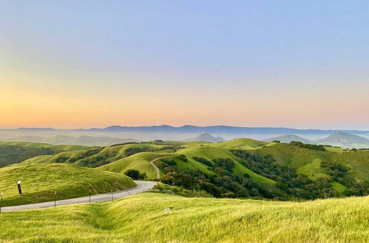 ShareSLO_'s tweet photo. Hello May ☀️ April came and went and the SLO community is stronger than ever. Tap link below for our favorite #SLOTogether stories this week. #ShareSLO
https://t.co/uezQgdaQG3 https://t.co/MhQhzFcVHW