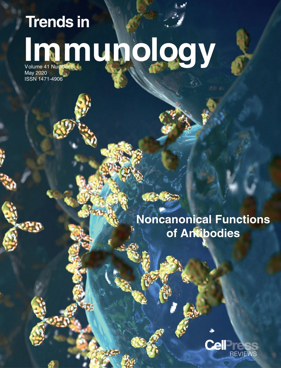 TrendsImmuno's tweet photo. New May issue @TrendsImmuno, #SARSCoV2, #intestinal #neuroimmunity, #DNAPK &amp; #innate #immunity, #ILCs across sp, #remnant #epitopes &amp; #autoimmunity, #noncanonical functions of #antibodies, #antibodies to #influenza, #Oncolytic Viruses,#A20 &amp; #inflammation https://t.co/lP4hyBMdfn https://t.co/I5sgM2ZlwC