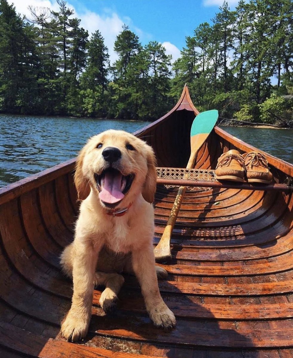 TRVLCreative's tweet photo. The perfect adventure buddy 🛶🐶❤️ https://t.co/ii1V0bp0qD