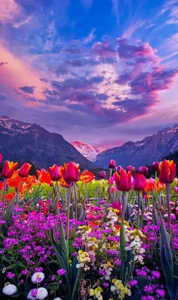 LoveAndPeaceOX's tweet photo. Hello Twitter Friends, good afternoon!
Wishing you all a wonderful and safe
weekend! Stay home and stay safe!
••••••••••••🌈🌺🌈🌺🌈•••••••••••
#WelcomeMay #StayPositive
#StayHomeSaveLives #HWeekend https://t.co/MjPHOTYnx2